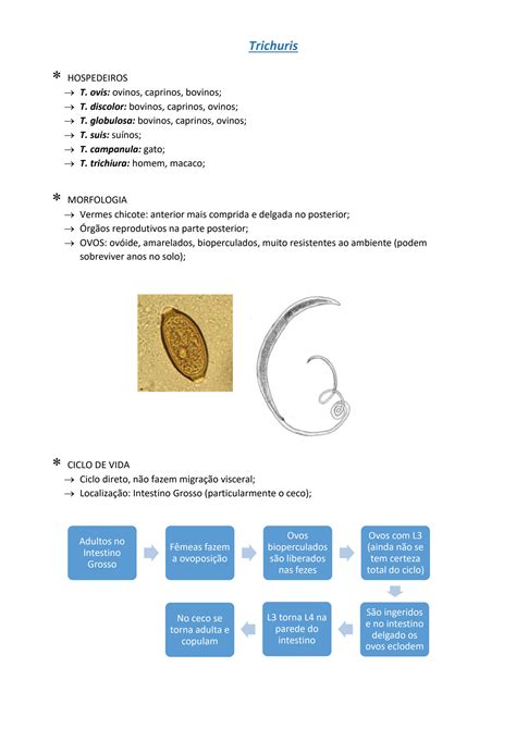 Solution Parasitologia Veterin Ria Studypool