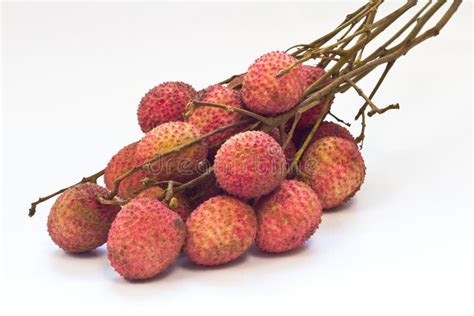 Litchi Stock Photo Image Of Lichee Ingredient Health 57786344