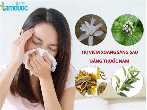 Trị Viêm Xoang Sàng Bằng Thuốc Nam Ít Ai Biết Đến Tâm Dược Store