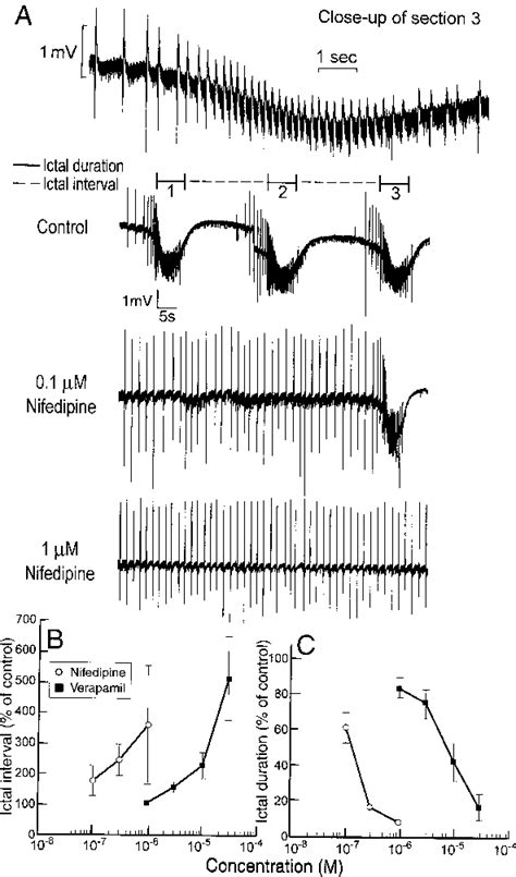 Figure 1 From Suppression Of Pilocarpine Induced Ictal Oscillations In