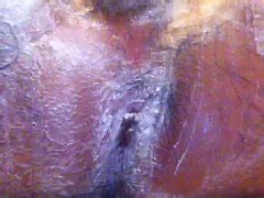 How To Shaved Ass Free Mobile Porn Videos IPornTV