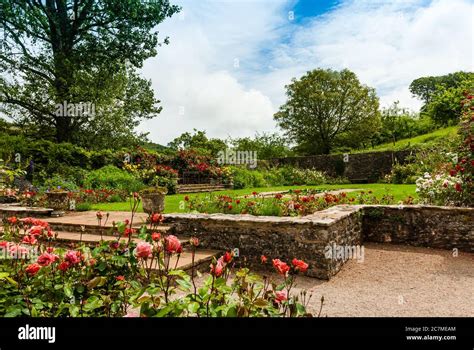 Compton castle gardens hi-res stock photography and images - Alamy