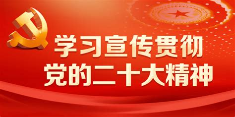 党旗所指 团旗所向——天津公安处组建青年突击队护航安保工作 旅客 平安出行