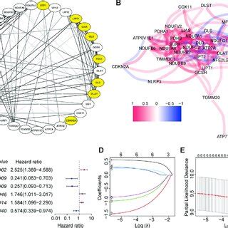 Prognostic Risk Score Signature Construction A Among The Genes