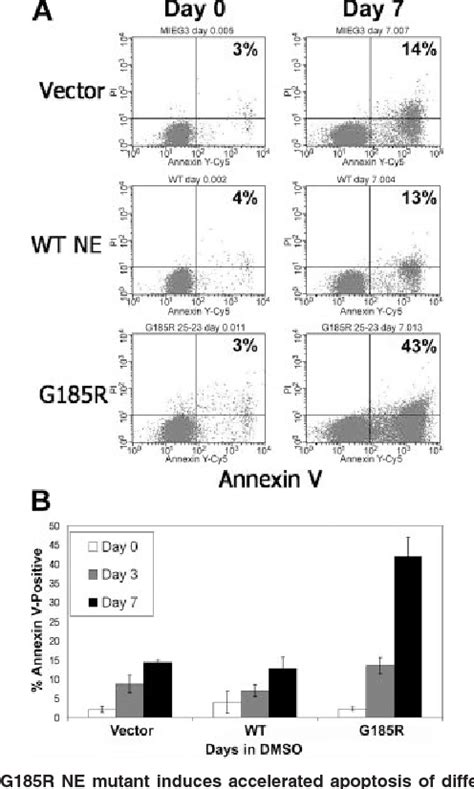 Figure 3 From Apoptosis Of Differentiating Promyelocytes Associated