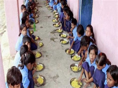 Karnataka Dead Lizard Found In Mid Day Meal Served At Govt School 80