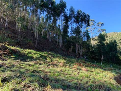 Oportunidade Sítio Santa Teresa Terrenos sítios e fazendas