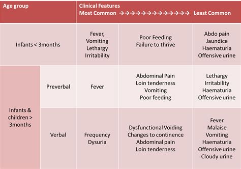 Interpreting Urinalysis for potential Infection in the Emergency ...