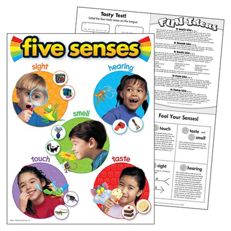 Five Senses Chart – School House GB