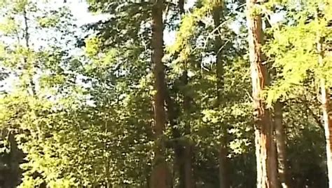 3 Hours Of Gay Bears Clips Vintage Man Porn XHamster