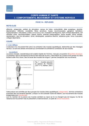 Lorigine Du G Notype Des Individus Terminale Enseignement De