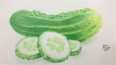 How To Draw Cucumber Fruit With Color Pencils Youtube