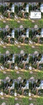 OF K2S Lottie Moss Nude 4th May 2022 Phun Org Forum