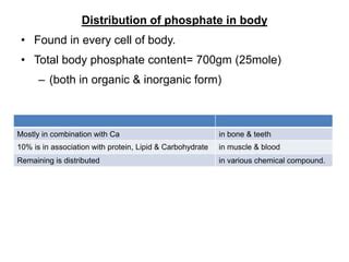 Phosphorus practical | PPT