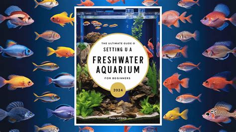 The Ultimate Guide To Setting Up A Freshwater Aquarium For Beginners