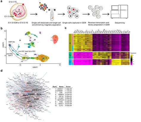 Fig 1 Single Cell Rna Seq Ana Image Eurekalert Science News Releases