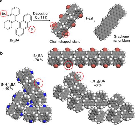 Self Assembly Of Bianthracene Precursors On Copper A Bottom Up