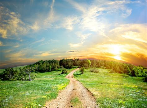 Wallpaper Sunlight Landscape Forest Sunset Hill Nature Grass