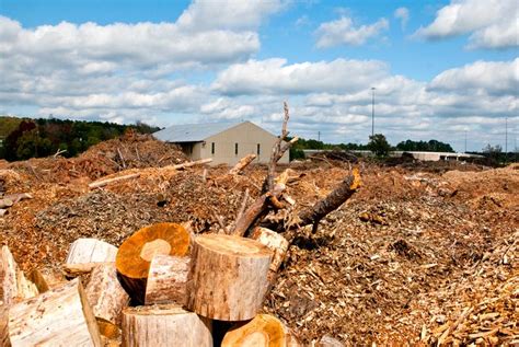 Biomass Power Plants Rise in East Texas | The Texas Tribune