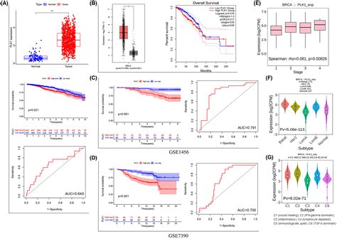 Performance of a PLK1‐based immune risk model for prognosis and ... 