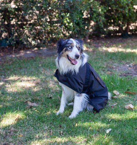 Dog Coat With Pockets Didgeridoonas