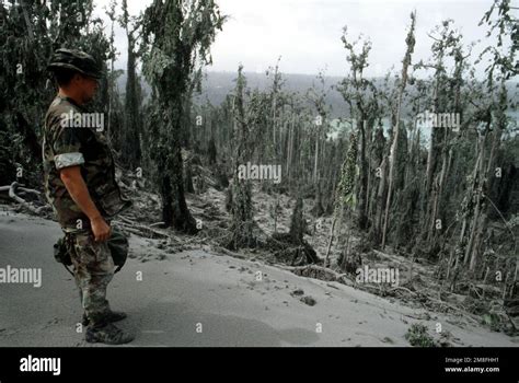 A Sailor Surveys Some Of The Damage Caused By The Four Inches Of