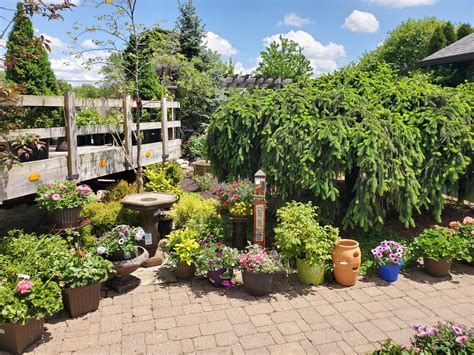Trees and Shrubs – Nature's Choice Landscaping
