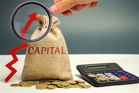 Capital social de uma empresa: o que é e como definir o valor