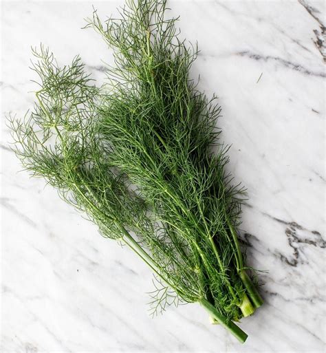 What Is Fennel And How To Cook It Love And Lemons Receita