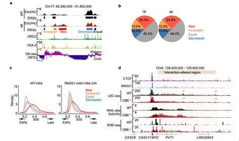 生命科学学院胡家志课题组揭示黏连蛋白cohesin功能缺失导致致癌基因突变的分子机制 试剂 丁香通