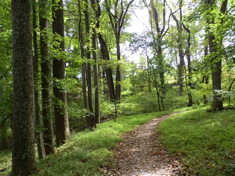 Elevation of Prince George County, VA, USA - Topographic Map - Altitude Map