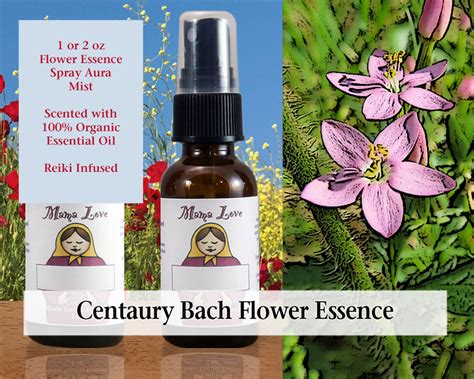 Centaury Bach Flower Essence Scented Spray Aura Mist Etsy Flower