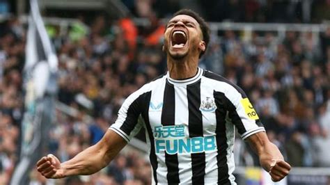 Newcastle United Tottenham Hotspur Toon Score Six To Overpower