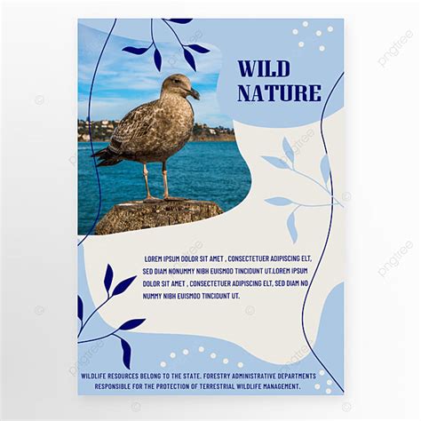 Protecting Wild Bird Animal Publicity Poster Template Download On Pngtree