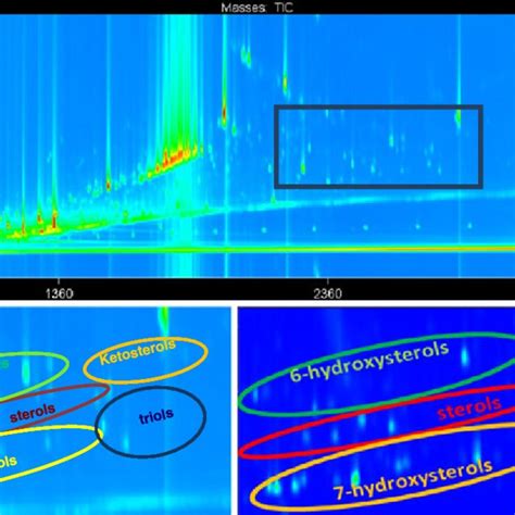 Gc×gc Tof Ms Two Dimensional Chromatogram A Contour Plot Of The Download Scientific Diagram