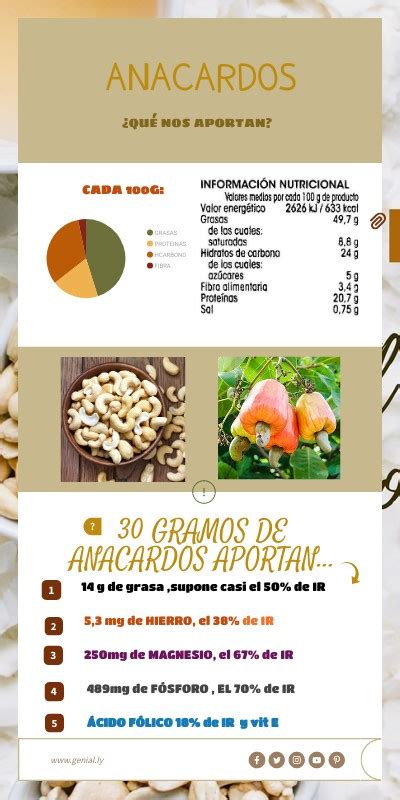 INFOGRAFÍA ANACARDOS