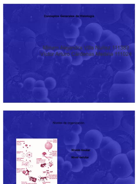 Pdf Algunos Conceptos De Histologia Dokumen Tips