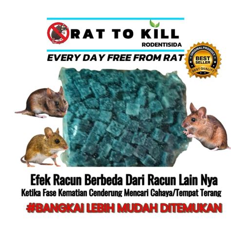 Jual Racun Tikus Super Ampuh Pembasmi Tikus Mati Kering Sejenis Kurato