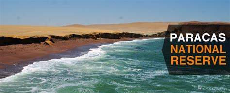 Paracas National Reserve: 2025 Updated Info - Peru Hop