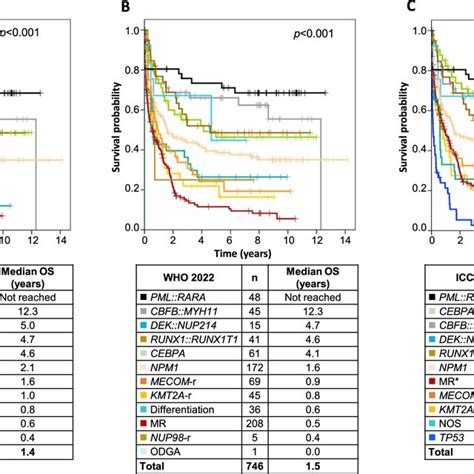 Os Of Aml Patients According To Eln Risk Classifications Os Of Aml