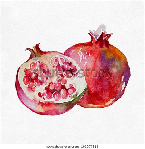 Ripe Pomegranate Fruit Watercolor Painting On Stock Illustration