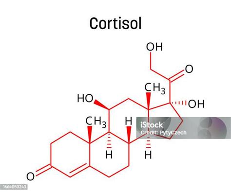 Vetores De Fórmula Estrutural Do Cortisol Da Estrutura Molecular E Mais