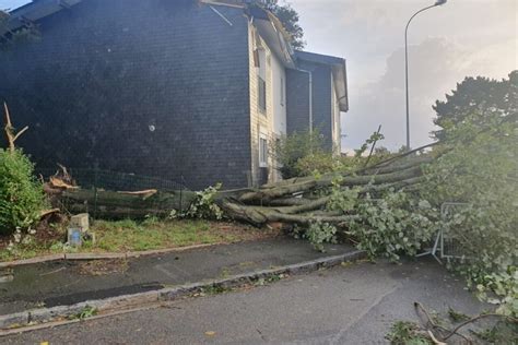 Tempête Ciaran un arbre arrache la toiture dune maison