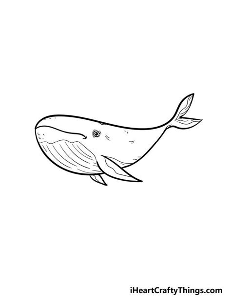 25 Easy Whale Drawing Ideas - How to Draw a Whale