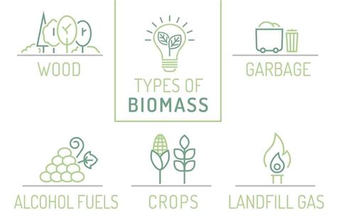 Types Of Biomass Energy An Overview Of The Different Forms And Their Unique Benefits Power