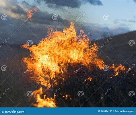 Fire And Smoke Dry Grass Burns On A Hillside Hot Autumn Stock Image