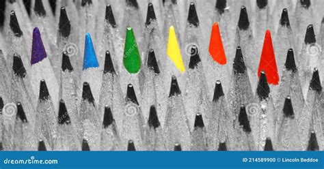 Conceito De Bandeira Do Arco Ris Criativo E Nico Lgbt Gay E L Sbica Cores Representadas