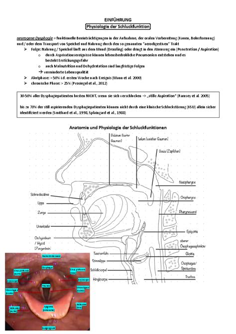 Diagnostik und Therapie bei Dysphagie EINFÜHRUNG Physiologie der