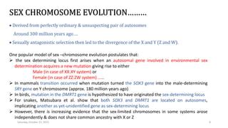 Sex Chromosomes Evolution Pptx