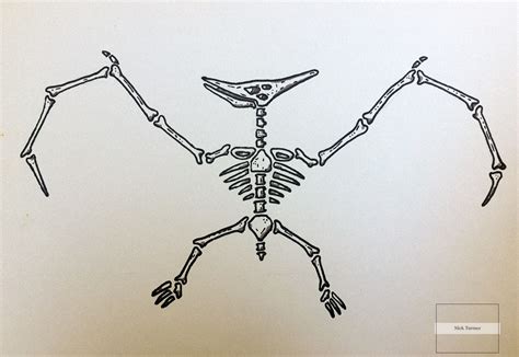 Pterodactyl Skeleton Tattoo